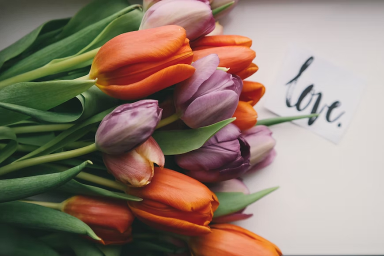 bunch of colorful tulips